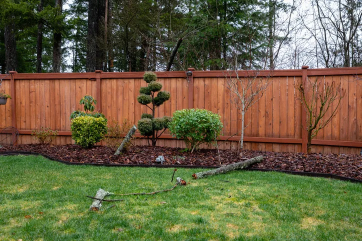 Cedar fence panels at six foot height