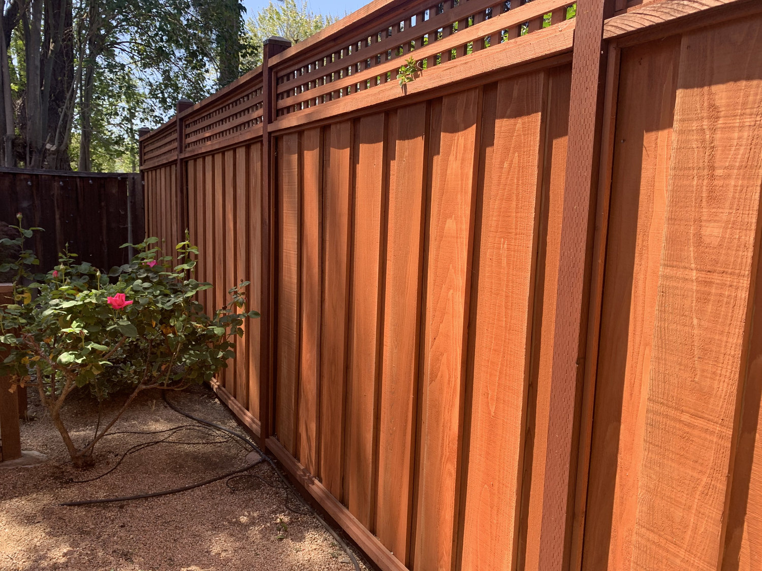 Wood Fence