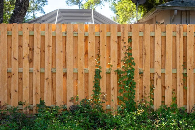 Wood Fence