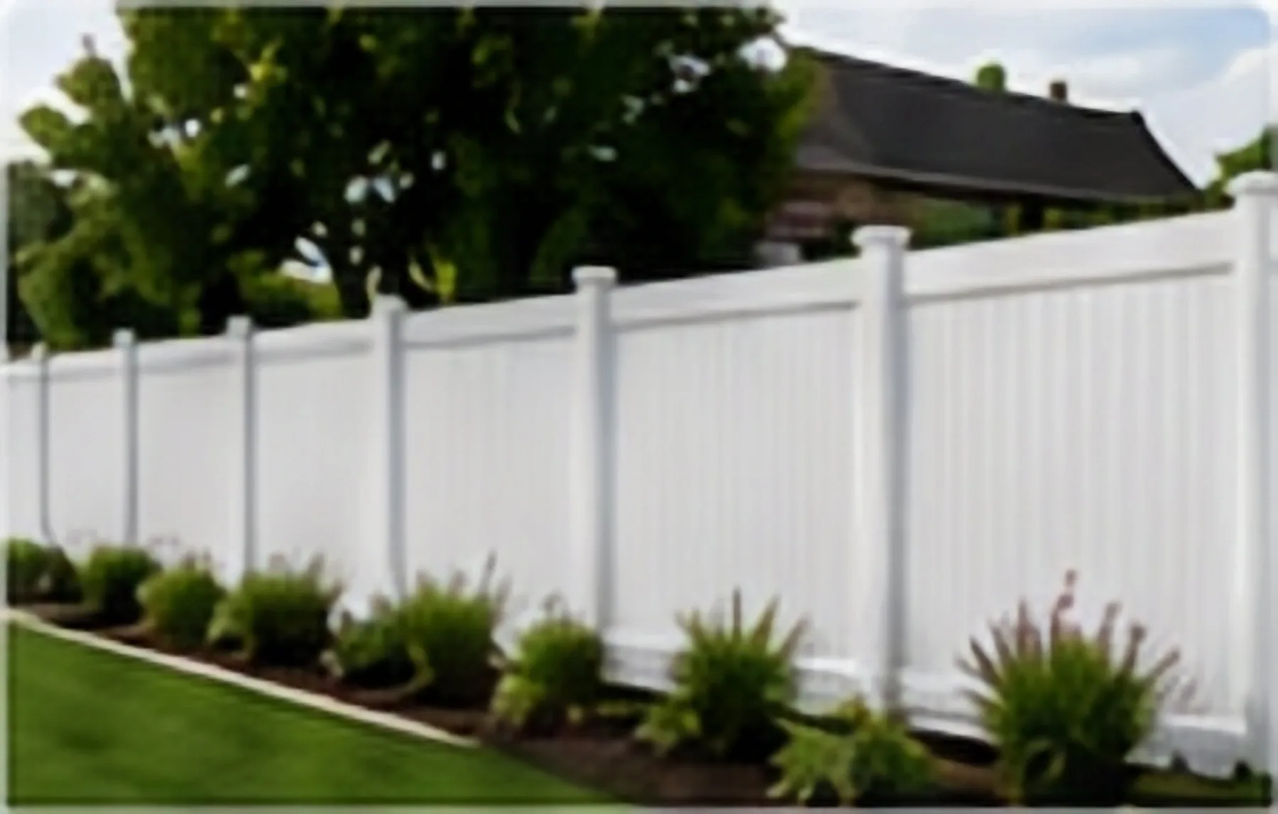 Privacy Fence