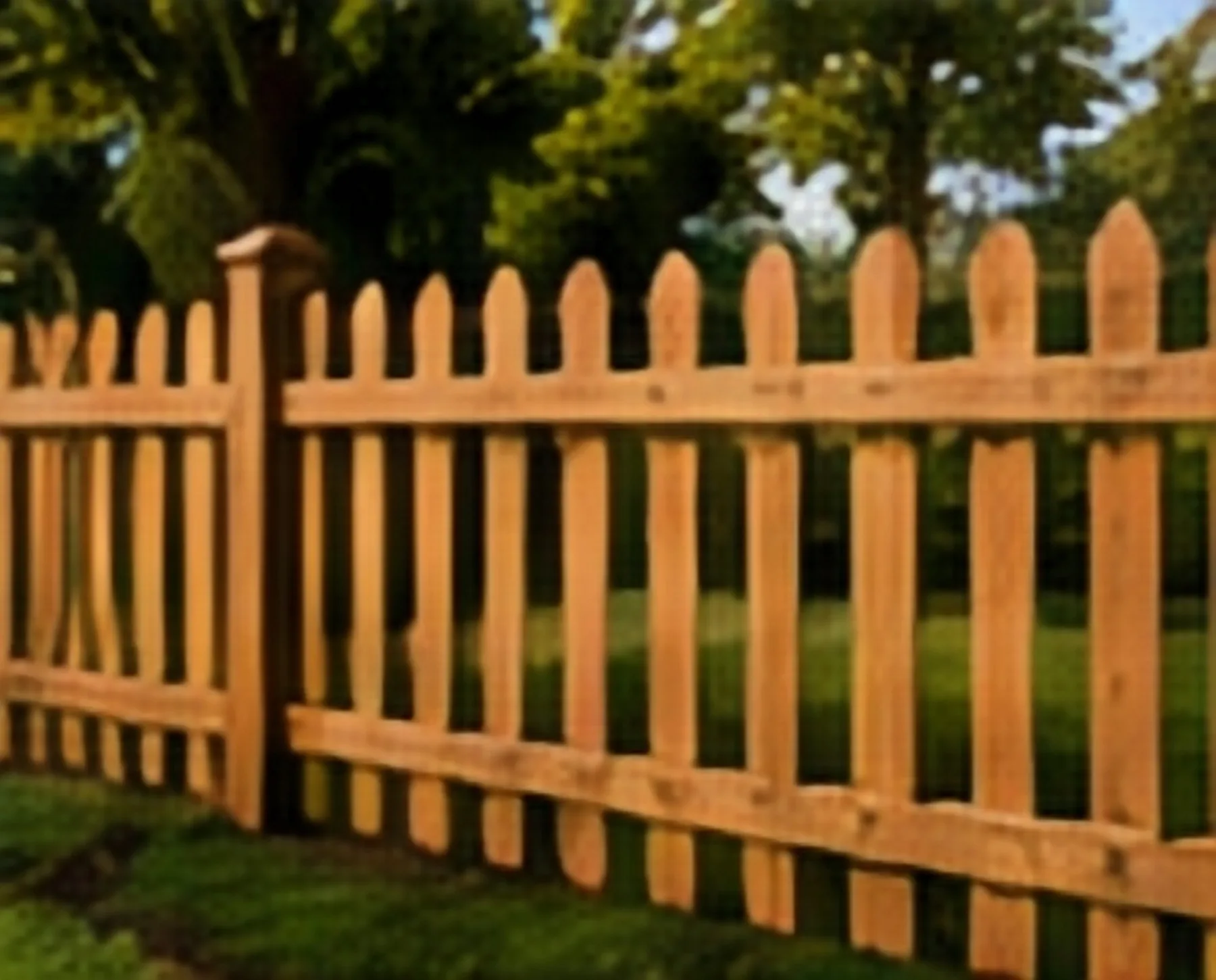 Picket Fence